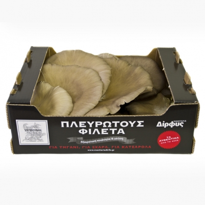 Φρέσκα Πλευρώτους Φιλέτα 1kg