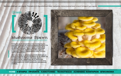MUSHROOM SPAWN